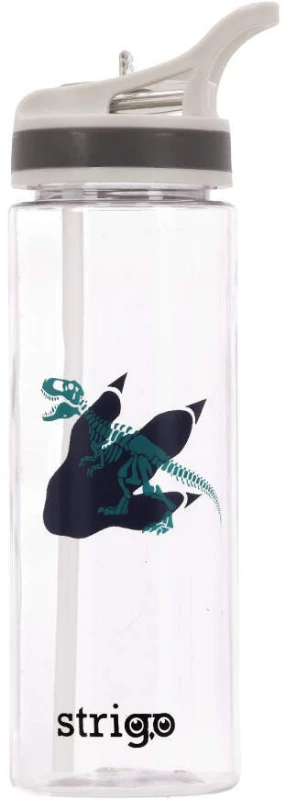 Bidon Strigo Dinozaur, 600ml, transparentny