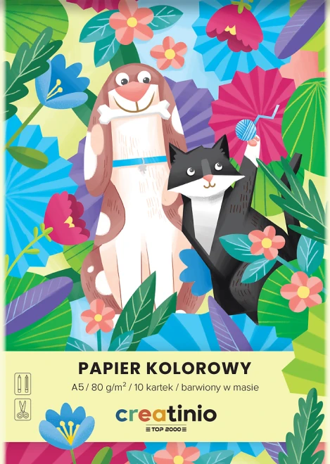 Zeszyt papierów kolorowych TOP 2000 Creatino, A5, 10 kartek, mix kolorów