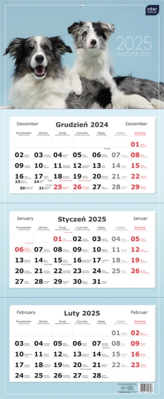 Kalendarz ścienny 2025, Interdruk, trójdzielny, 825x340mm, psy