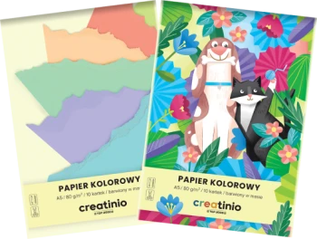 Zeszyt papierów kolorowych TOP 2000 Creatino, A5, 10 kartek, mix kolorów