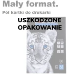 Outlet: USZKODZONE OPAKOWANIE Papier ksero Emerson Office Paper, A5 (1/2 kartki do drukarki), 80g/m2, 500 arkuszy, biały