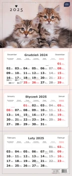 Kalendarz ścienny 2025, Interdruk, trójdzielny, 825x340mm, koty