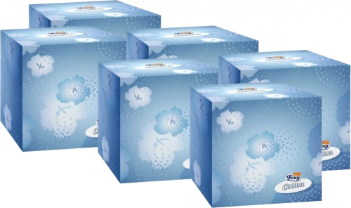 6x chusteczki higieniczne Foxy Cotton Cube, w kartoniku, 60 sztuk