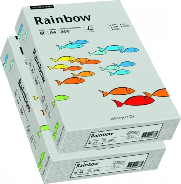 2x Papier ksero ekologiczny Rainbow, A4, 80g/m2, 500 arkuszy, szary (R96)