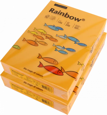 2x Papier ksero ekologiczny Rainbow, A4, 160g/m2, 250 arkuszy, pomarańczowy jasny (R22)