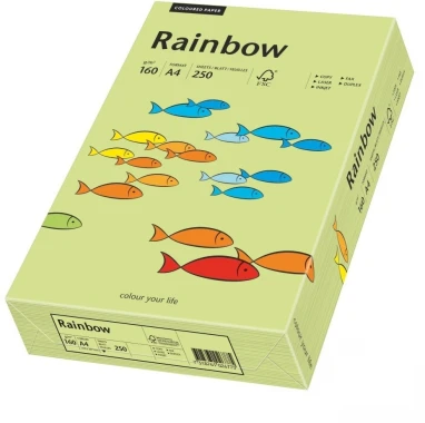 2x Papier ksero ekologiczny Rainbow, A4, 160g/m2, 250 arkuszy, zielony jasny (R74)