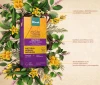 3x Herbata funkcjonalna w torebkach Dilmah Arana Detox / Oczyść ciało, 20 sztuk x 1.5g
