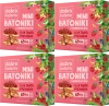 4x Mini batoniki z nerkowców a'la tarta malinowa, Dobra Kaloria, 6 sztuk, 102g