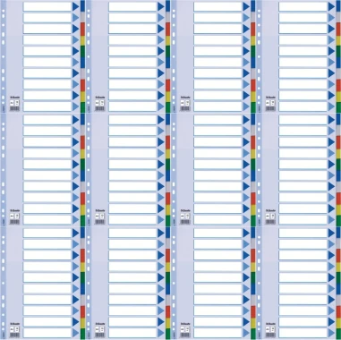12x Przekładki plastikowe z kolorowymi indeksami Esselte, A4, 10 kart, mix kolorów