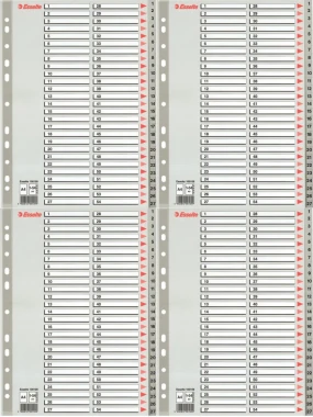 4x Przekładki plastikowe numeryczne Esselte, A4, 1-54 kart, szary
