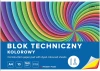 20x Blok techniczny Interdruk, A4, 10 kartek, kolorowy, barwiony w masie, mix wzorów