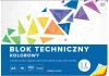 20x Blok techniczny kolorowy Intedruk, A3, 10 kartek, mix wzorów
